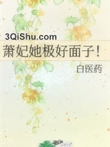 萧妃她极好面子！小说