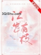 江岸有枝小说