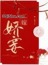 二嫁娇妾小说