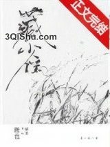 藏雀小说