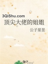 我弟弟是年代文大佬？小说