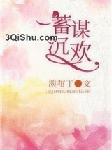 蓄谋沉欢小说