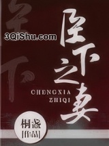 臣下之妻小说