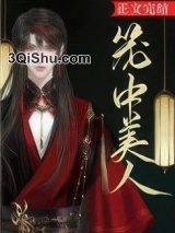 笼中美人小说