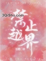 禁止越界小说