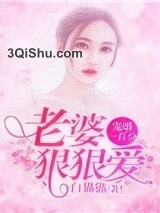 宠婚一百分：老婆，狠狠爱小说