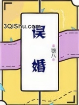 误婚小说
