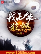 我无能狂怒小说