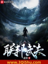 联邦武夫小说