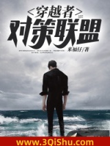 穿越者对策联盟小说