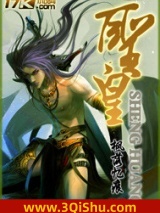 圣皇小说