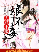 娘子不毒，夫君不服小说