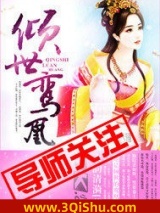 倾世鸾凰小说