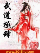 武道极锋小说