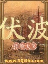 伏波小说