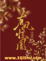 有凤惊凰小说
