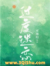 过度迷恋小说