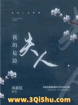 我的危险夫人小说