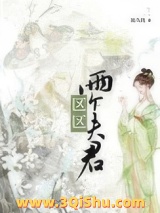 区区两个夫君小说