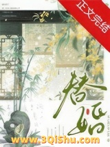 替婚小说