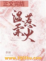 温柔惹火小说