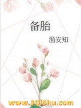 备胎小说