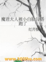 魔君大人被小白脸勾搭跑了小说