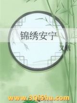 锦绣安宁小说