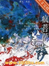 疯菩萨小说