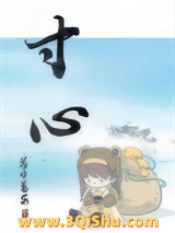 寸心小说