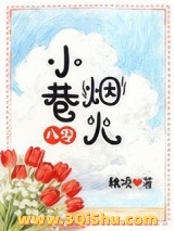 小巷烟火[八零]小说