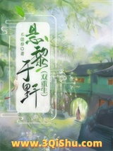 悬黎于野（双重生）小说
