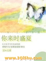 你来时盛夏小说