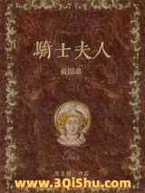 骑士夫人模拟器小说
