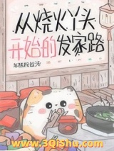 从烧火丫头开始的发家路小说