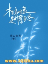 相亲对象是刑警队长小说