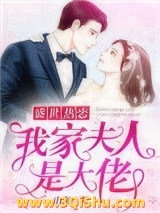 盛世热恋：我家夫人是大佬小说