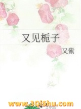 又见栀子小说