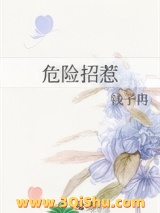 危险招惹小说
