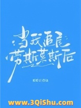 当我追尾劳斯莱斯后小说