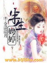 半生娉婷小说
