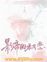 影帝的初恋[破镜重圆]小说