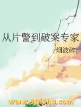 从片警到破案专家小说