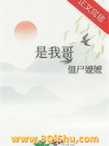 是我哥小说