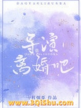 导演，离婚吧小说