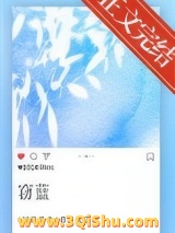 窃蓝小说