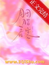 胭脂看客小说