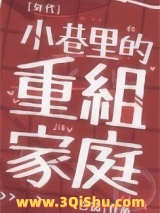 小巷里的重组家庭[六零]小说