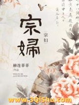 宗妇小说
