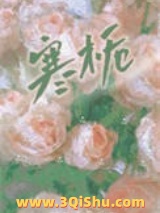 寒栀小说